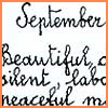 September 11th 2001-The big fear-fly my thought